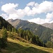 unter der Reichegger Alm vorbei zurück nach Weißenbach