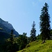 Steil geht's hoch an der Alp Nausner Undersee vorbei