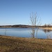Rybnišťský velký rybník (Bernsdorfer Teich)
