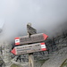 decidiamo di non proseguire causa nebbia