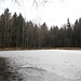 Noch zugefrorener Teich