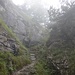 Noch befinde ich mich im Nebel!
