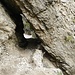 An einer Stelle führt der Klammsteig durch den Fels hindurch.