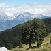 An der Markissalm ergeben sich erste Blicke in's umwölkte Karwendel