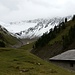 Auf der Alp Trupchun