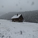 Die Hütte bietet trotz des Schneegestöbers ein trockenes Plätzchen beim Eingang.