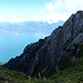 erster herrlicher Tiefblick auf den Genfersee;
recht zieht sich der NE-Grat der Pointe de la Chaumény hinunter