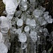 cristalli di ghiaccio all'alpe  Pianezza