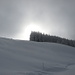 ...langsam lichtet sich der Nebel