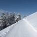 Unberührter Winterwanderweg - Pulver pur!