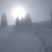 Langsam gehts zurück in den Nebel