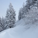 Abstiegsroute