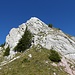 Die Felswand unterhalb des Gipfels wird links (südlich) umgangen (T4).