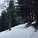 Unterwegs zur Alp Le Vuarne oberhalb P.1269m.<br /><br />Da der Schnee sehr fest und die Lufttemperatur weit unterhalb vom Gefrierpunkt war, wurde aus der Tour ein Spaziergang. Schneeschuhe brauchte ich keine, aber für eine Skitour wären die Bedingungen exzellent gewesen!