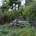 Dieses Bänklein am Waldrand, nördlich unterhalb des Dielenbergs, hab ich mit der Gartenschere etwas herausgeputzt.