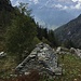 All'Alpe Rosenza di Mezzo, Vesco per la Mappa Rabbini