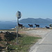 Ziegen, Schafe und Hunde auf der Hauptstraße mit Blick zum Meer und Inseln