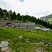 Alpe Arena - da gibts fantastischen Alpkäse