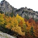 Leuchtende Farben beim Aufstieg-Herbst in den Bergen ist schlicht herrlich! 