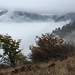 Val Segnara tra le nebbie