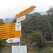 Curzùtt