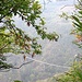 Ponte Tibetano Carasc