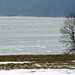Eissegler auf dem Lac de Joux