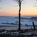Sonnenuntergang an der Bühringbuche
