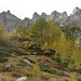 autunno in Val Divedro