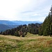 Gratwanderung in Richtung Falken (1564 m), Blick nach Südwesten 