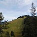Aufstieg zur Rohnehöhe/Eineguntkopf (1639 m)