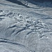 Gletscherspalten am Blüemlisalpfirn