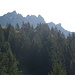 Elsspitze im Gegenlicht beim Start am Muttersberg