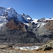 Die zurückweichenden Gletscherzungen - vor 15 Jahren erreichten sie noch alle den Hauptgletscher...
