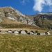 Alpe Bardughe