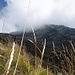 die ersten Wolken am Vogorno