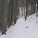 Wanderweg nach Bärenwil