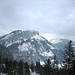 Die Alp Sigel wird von einem Felsgürtel umschlossen mit einem Unterbruch an der Zahmen Gocht