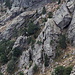 Unterwegs zwischen Punta di a Vacca und Col de l'Oiseau - Blick zur "Schlüsselstelle": Die steile Felsrampe wird mit Hilfe einer Kette überwunden. Bemerkenswert sind auch die riesigen Felsblöcke darüber.