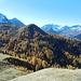 Lärchenwald in der Tjeier Alp