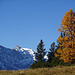 Winter und Herbst