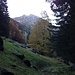Colori d'autunno sul fondovalle della Val Grona