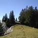sur la crête en direction du sommet