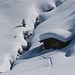 Kleines Hüttli mit viel Schnee unterhalb der Aschariner Alp