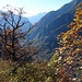 Der Blick ins untere Val Bavona, wo es ins Maggiatal mündet.