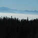 Nebel über dem Genfersee