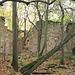 Wüstung Vitín (Wittine), Ruine