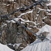 im Aufstieg zur Konkordiahütte, Foto von Mittourengänger