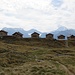 Hüslibauitis