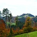 Blick auf die andere Talseite, zum Bauernhof Wald